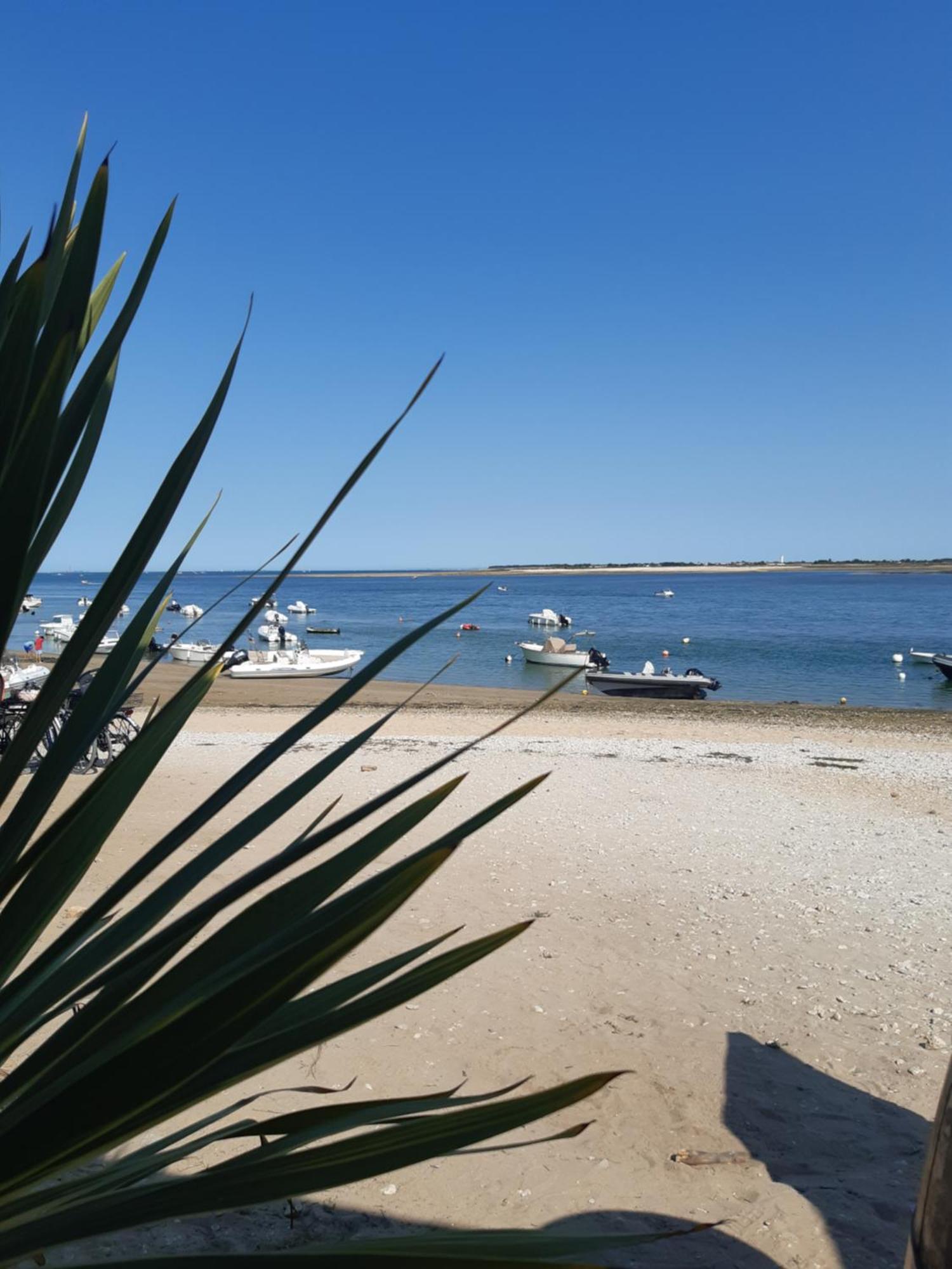 Maison De Vacances Entiere A 10 Mn De La Rochelle Dompierre-sur-Mer Luaran gambar